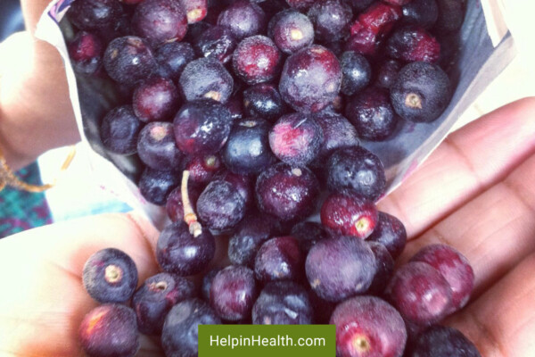 30 plus Phalsa fruit juice health benefits 1 - Help in Health
